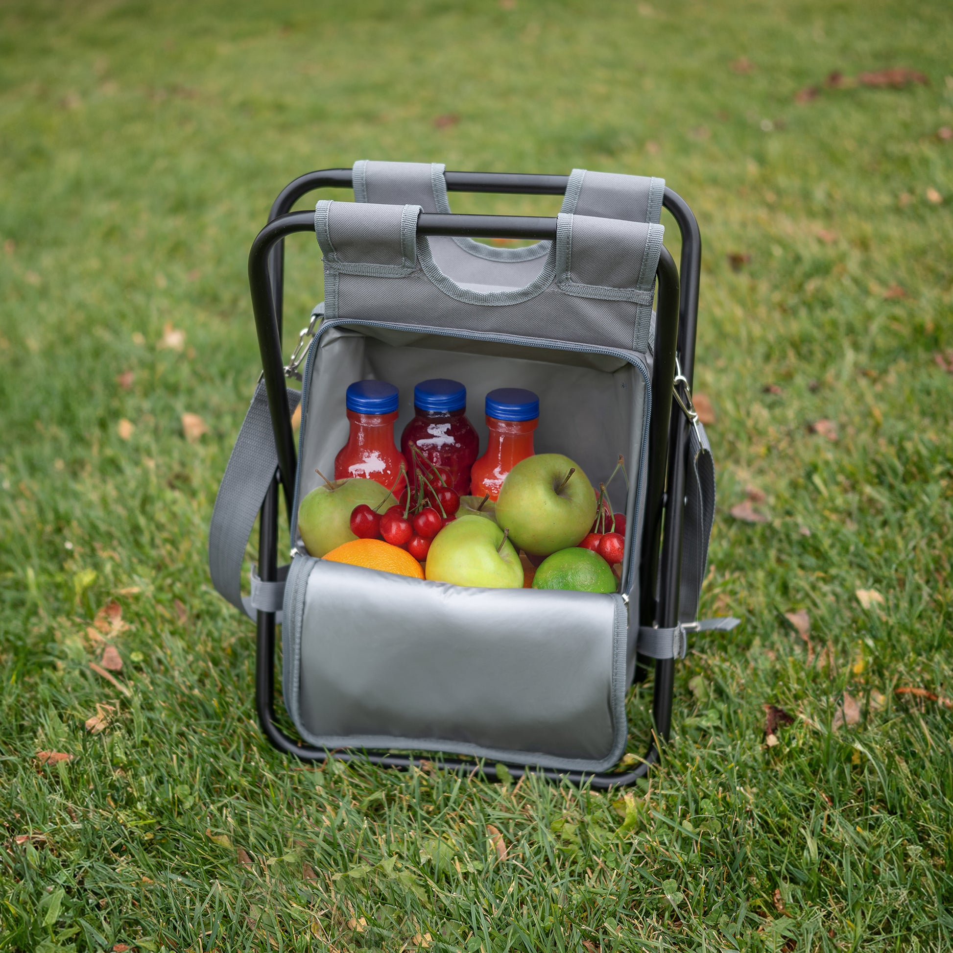 Gray cooler bag with drinks and fruits on a grassy background